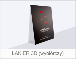 Wizytówki Lakier 3D