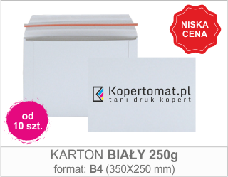 KARTON BIAŁY 250g / 350x250mm